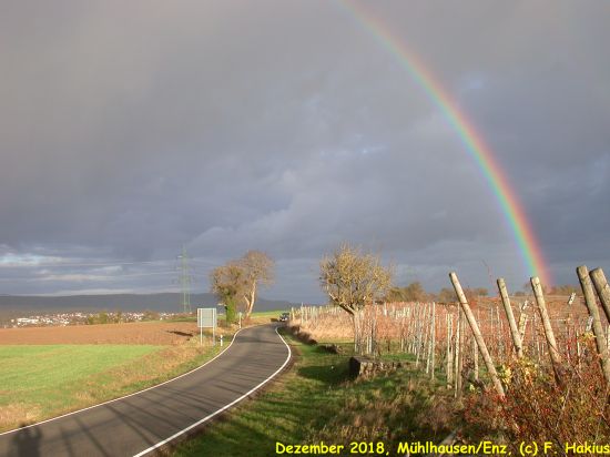 Dezember 2018