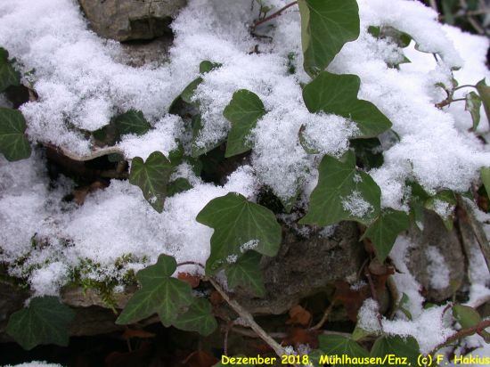 Dezember 2018