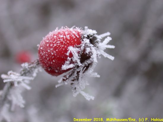 Dezember 2018