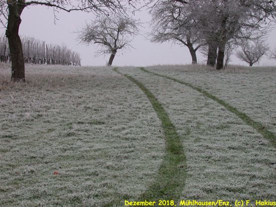 Dezember 2018