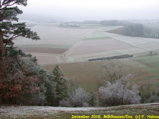Dezember 2018