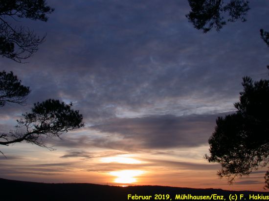 Februar 2019