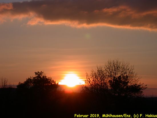 Februar 2019