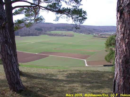 März 2019