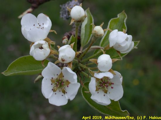 April 2019