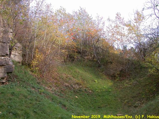 November 2019