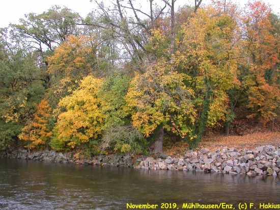 November 2019