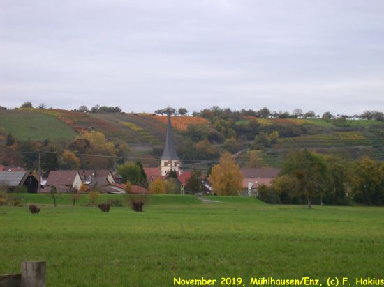 November 2019