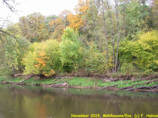 November 2019