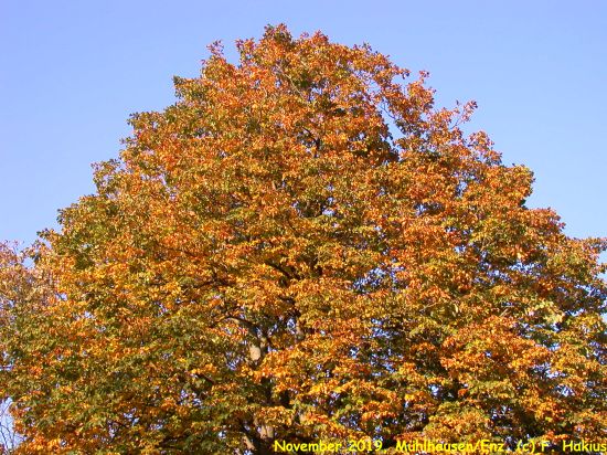 November 2019