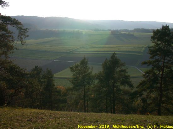 November 2019