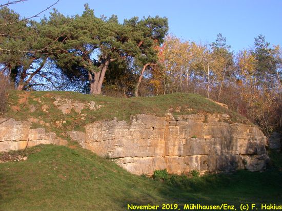 November 2019