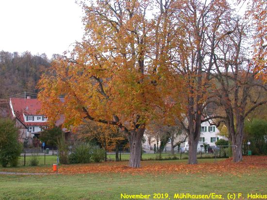 November 2019