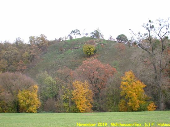November 2019