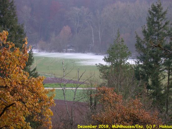 Dezember 2019