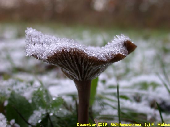 Dezember 2019