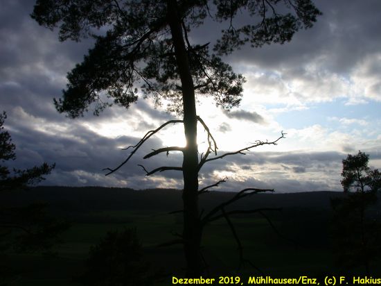 Dezember 2019