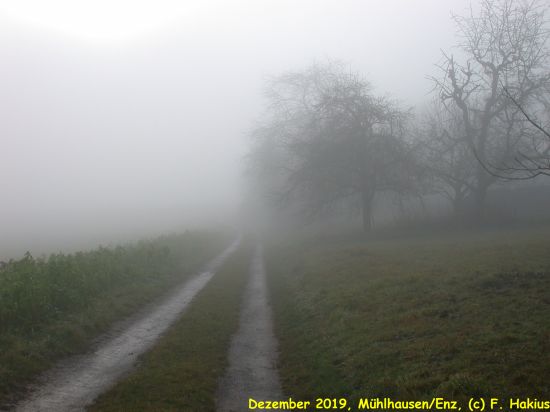 Dezember 2019