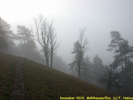 Dezember 2019