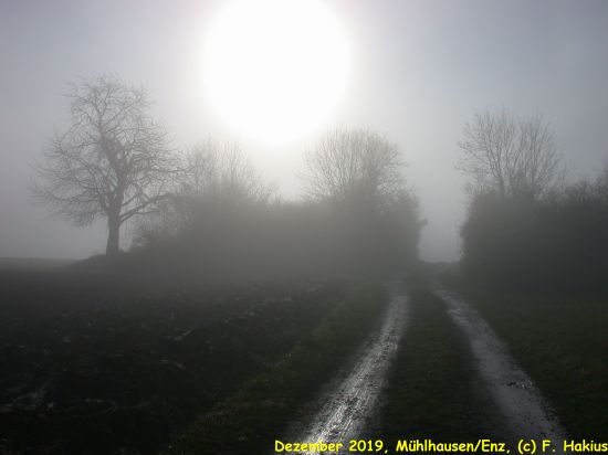 Dezember 2019