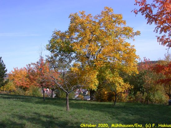 Oktober 2020
