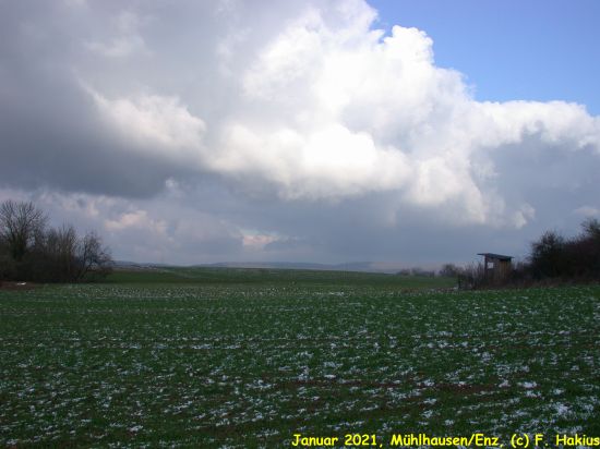 Januar 2021