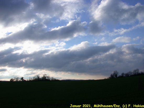 Januar 2021