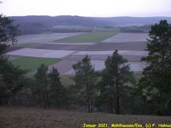 Januar 2021