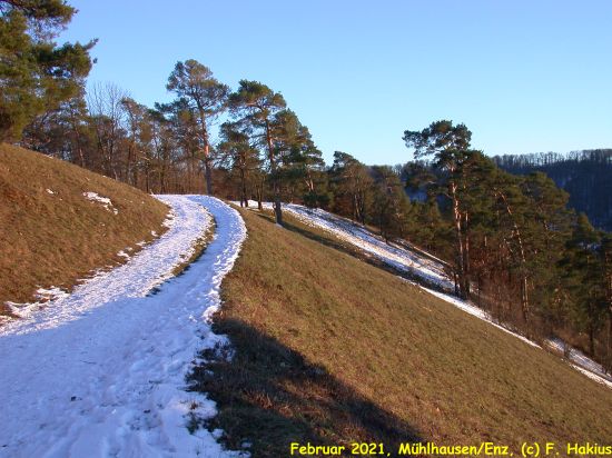 Februar 2021