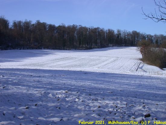 Februar 2021