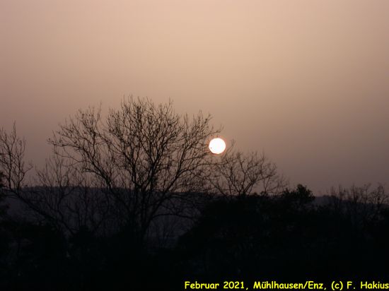 Februar 2021