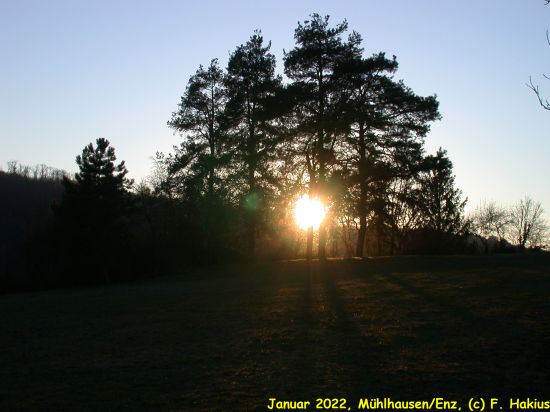 Januar 2022