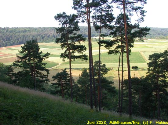 Juni 2022