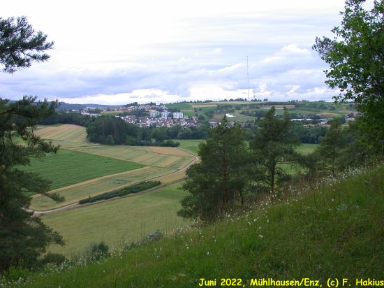 Juni 2022