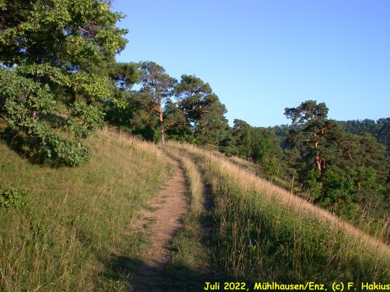 Juli 2022