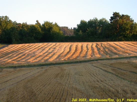 Juli 2022