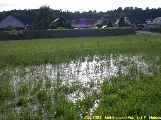 Juli 2022