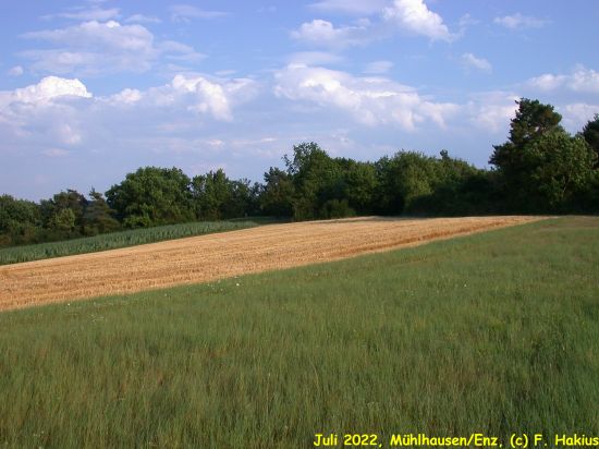 Juli 2022