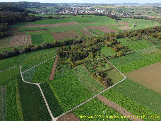 Oktober 2022