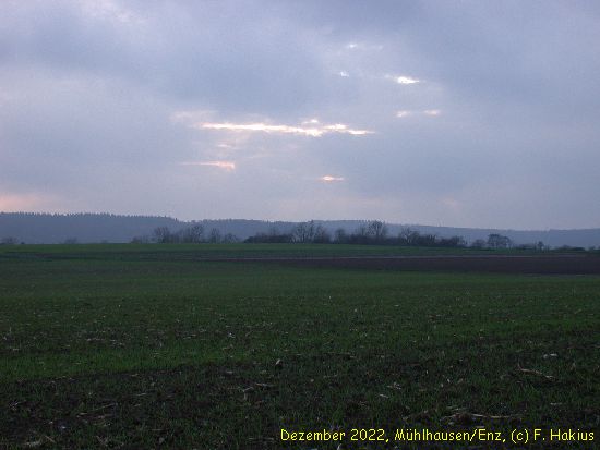 Dezember 2022