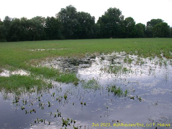 Juli 2023