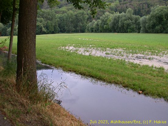 Juli 2023