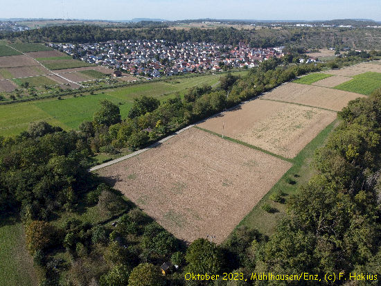 Oktober 2023
