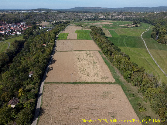 Oktober 2023