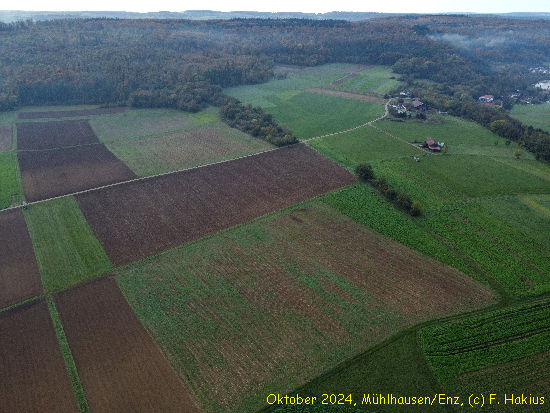 Oktober 2024