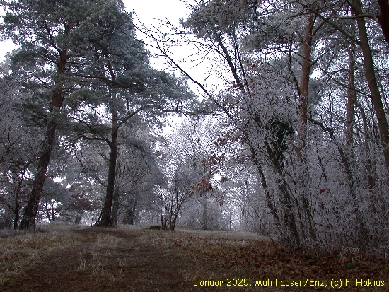 Januar 2025