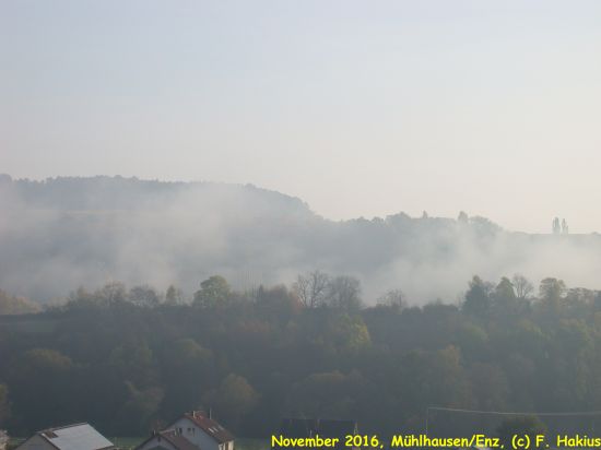 Mühlhausen 2007