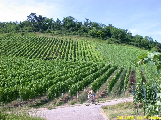 Ensingen